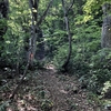 金剛堂山に