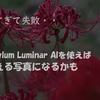 【削除する前に】失敗写真復活、SkylumのLuminar AIを使えば使える写真に変身できるかも。