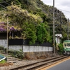 江ノ電３０５　稲村ガ崎の藤