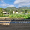 集会所・広場除草