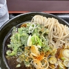 おそば　天かめ　平河町店　その十六