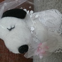 のんびりたっぷり旅行に行きたい❗