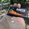 口腔内崩壊清涼菓子（Mintia® Dry Hard錠）によるPhorticaおよびCryptochaetum類に対する忌避効果についての検討