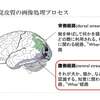 脳卒中患者さんで考える視覚のこと