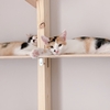 猫たちが我が家に来て1周年(ΦωΦ)☆