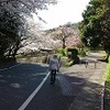 桑山さくらカメラスケッチと昆虫採集