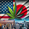 トランプ氏の大麻合法化容認発言：日本への影響と慎重な対応の必要性