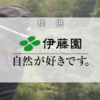 テレビ朝日系 伊藤園レディスゴルフ2023 最終日 2023/11/12