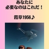 心理学×占いで変わる婚活！あなたに必要なのはこれだ！霞草1956♪