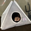 推しへの課金
