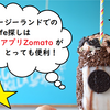 【Zomato】ニュージーランドの雰囲気の良いカフェの探し方は？アプリが便利！
