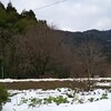 今日は……とりとめもない話です（雪景色と眼鏡）