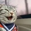できるだけ遅く火葬して