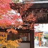秘密の紅葉スポット⑩心を洗う解穢（かいわい）の水・月読神社