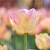 2月ポイント&投資まとめ