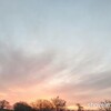 今日も公園へ〜『一緒に行こうよ』に弱い母〜