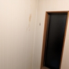 お外に逃がした