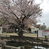 女一人旅！！　西郷どん　鹿児島★仙巌園　③