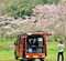  森と水の公園の池（神奈川県南足柄）
