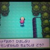 9周年から始めるポケモンプラチナプレイ日記(ひでんのくすり編)