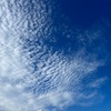 秋空で、飲みすぎの週末。