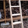 薪棚の梯子