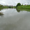 大雨