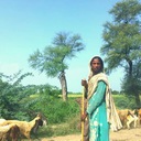 The Hindustan