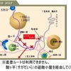 一切経山・吾妻小富士