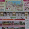 横浜公園 2022年3月の花　その４