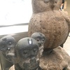 池袋のいけふくろうを初めて近くで見ました(≧∀≦)