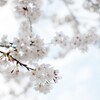 新年度。
