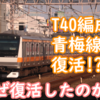 E233系 T40編成が青梅線でまさかの復活!? なぜ復活し、どんな運用なのかを考える