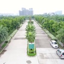 Residential Plots In Deen Dayal Gurgaon