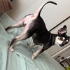 まろにー3183日目