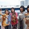 脳炎仲間のコービーちゃんが虹の橋へ