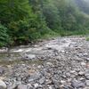 谷川連峰　湯檜曽川白樺沢