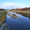 土曜日、晴れ