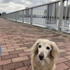 土曜日の公園で。