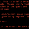 Vagrant を 立ち上げようとして `Failed to mount folders in Linux guest. the "vboxsf" file system is not available.` って出た話。