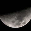 今日の一枚「半分の月」(2021.02.19)[天体][月]