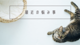 最近の悩み