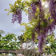 いろいろつれづれ カテゴリーの記事一覧 メゾソプラノ中森千春 うた日記