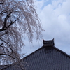 瓦と桜(後編）