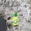 【ポケGO】ソロを撲滅してきたカントーツアー①