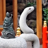 神社で蛇を見たらどんな意味がある？スピリチュアルな意味と白蛇・黒蛇の縁起を初心者向けに解説