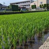 今日もはやく帰ってこれなくて悲しかった木曜日