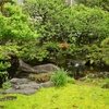 🍃新緑の湯島天神