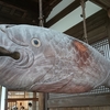 木魚とは？魚の形の理由や仏具としての役割、由来を解説