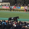 東京競馬10R 節分ステークス パドック直前予想 ◎13 オコレマルーナ